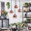 Ripoll hanging light, globe light, Cluster pendant lamp clear, coppery, 4-light sources