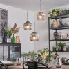 Ripoll hanging light, globe light, Cluster pendant lamp clear, Smoke-coloured, 3-light sources