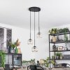 Ripoll hanging light, globe light, Cluster pendant lamp Amber, clear, 3-light sources
