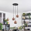 Ripoll hanging light, globe light, Cluster pendant lamp coppery, 3-light sources