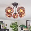 Ripoll ceiling light, globe light clear, coppery, 5-light sources