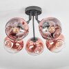 Ripoll ceiling light, globe light clear, coppery, 5-light sources