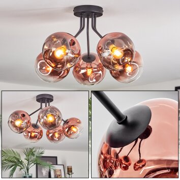 Ripoll ceiling light, globe light clear, coppery, 5-light sources