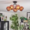 Ripoll ceiling light, globe light coppery, 5-light sources