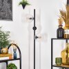 Ripoll floor lamp clear, 3-light sources
