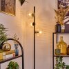 Ripoll floor lamp clear, 3-light sources