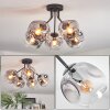 Ripoll ceiling light, globe light clear, Smoke-coloured, 5-light sources