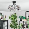 Ripoll ceiling light, globe light clear, Smoke-coloured, 5-light sources