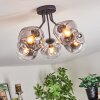 Ripoll ceiling light, globe light clear, Smoke-coloured, 5-light sources