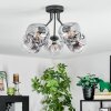 Ripoll ceiling light, globe light clear, Smoke-coloured, 5-light sources