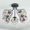 Ripoll ceiling light, globe light clear, Smoke-coloured, 5-light sources