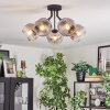 Ripoll ceiling light, globe light clear, Smoke-coloured, 5-light sources
