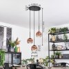 Ripoll hanging light, globe light, Cluster pendant lamp clear, coppery, 3-light sources