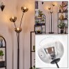 Ripoll globe light, floor lamp clear, Smoke-coloured, 3-light sources
