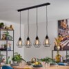 Cenova hanging light, pendant light black, 4-light sources