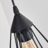 Cenova hanging light, pendant light black, 4-light sources