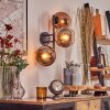Koyoto globe light, wall light clear, coppery, 3-light sources
