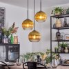 Koyoto hanging light, globe light, Cluster pendant lamp 30 cm gold, clear, 3-light sources