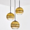 Koyoto hanging light, globe light, Cluster pendant lamp 30 cm gold, clear, 3-light sources