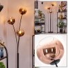 Ripoll globe light, floor lamp clear, coppery, 3-light sources