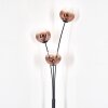 Ripoll globe light, floor lamp clear, coppery, 3-light sources