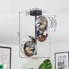 Koyoto ceiling light, globe light 32 cm chrome, clear, Smoke-coloured, 4-light sources