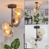 Ripoll ceiling light, globe light Amber, clear, Smoke-coloured, 4-light sources