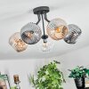 Ripoll ceiling light, globe light Amber, clear, Smoke-coloured, 5-light sources