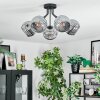 Ripoll ceiling light, globe light Smoke-coloured, 5-light sources