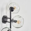 Ripoll globe light, wall light clear, 3-light sources