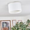 Bassagoda ceiling light white, 1-light source