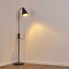 TERWISPEL Floor Lamp anthracite, grey, black, 1-light source