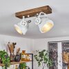 HERFORD Ceiling Light brown, Ecru, white, 2-light sources
