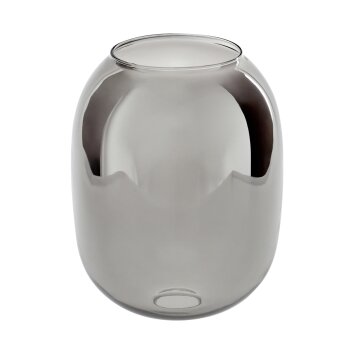 Lamp shade made of glass  Apedo replacement glass, spare part Smoke-coloured