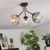 Koyoto ceiling light, globe light 42 cm Amber, clear, Smoke-coloured, 3-light sources