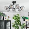 Ripoll ceiling light, globe light clear, Smoke-coloured, 7-light sources