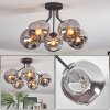 Ripoll ceiling light, globe light Smoke-coloured, 5-light sources