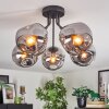 Ripoll ceiling light, globe light Smoke-coloured, 5-light sources