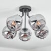 Ripoll ceiling light, globe light Smoke-coloured, 5-light sources