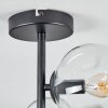 Ripoll ceiling light, globe light clear, 4-light sources