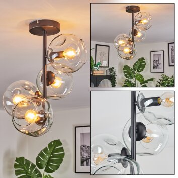 Ripoll ceiling light, globe light clear, 4-light sources