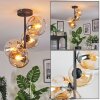 Ripoll ceiling light, globe light Amber, clear, 4-light sources