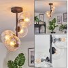 Koyoto ceiling light, globe light 32 cm clear, 4-light sources