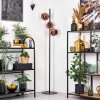 Ripoll floor lamp coppery, 3-light sources