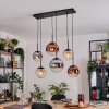 Gastor hanging light, globe light, pendant light Amber, chrome, clear, coppery, Smoke-coloured, 6-light sources