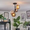 Ripoll ceiling light, globe light chrome, clear, Smoke-coloured, 4-light sources