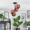 Ripoll ceiling light, globe light coppery, 4-light sources