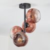 Ripoll ceiling light, globe light clear, coppery, 4-light sources