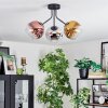 Ripoll ceiling light, globe light chrome, gold, clear, coppery, Smoke-coloured, 3-light sources