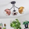 Ripoll ceiling light, globe light chrome, gold, clear, coppery, Smoke-coloured, 3-light sources